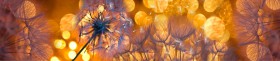 Кухонный фартук Мерцание Одуванчики золотистые 3 серебро в Покровске - pokrovsk.katalogmebeli.com | фото
